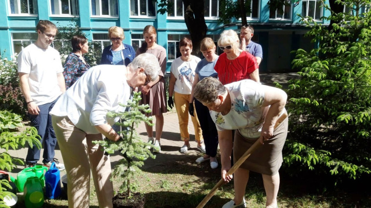 Деревья добрососедства.